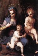 Andrea del Sarto Madonna and Child with the Young St John oil painting artist